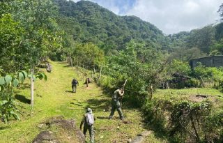 MiAmbiente aplicarán sanciones administrativas de hasta $9,999.99, sin perjuicio de entablar las denuncias correspondientes ante la Fiscalía Ambiental por delitos contra el ambiente y el ordenamiento territorial. Foto. Cortesía