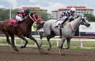 Come Candela no estará en el Clásico Junta de Control de Juegos. Foto: Omar Yerar Batista
