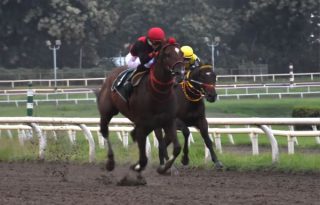 Takao respondió al favoritismo y devolvió B/.3.00 a la primera posición 