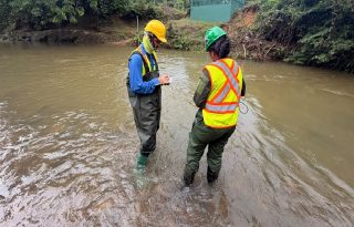 Especialistas evalúan la calidad del agua.