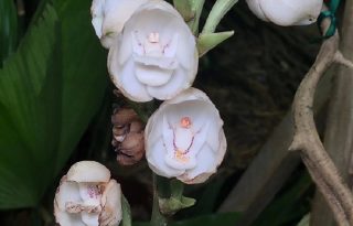 Se trata de una agenda pensada para ofrecer una experiencia integral donde la naturaleza y las costumbres regionales van de la mano.