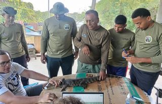 El instrumento legal establece diversas acciones. Cortesía: MiAmbiente