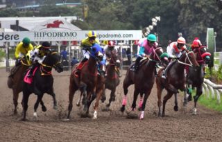 Las competidoras en los primeros metros de la carrera. Fotos Boris Valdivieso.