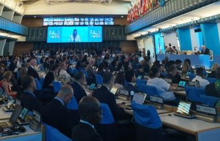 Vista de una de las sesiones del Comité de Pesca de la FAO. Foto: Cortesía