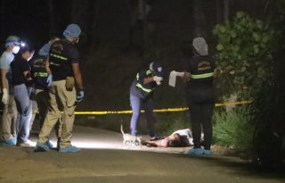 La presencia policial disminuye la actividad delictiva, no la frena. 