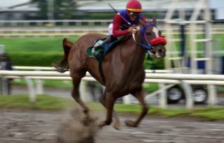 Wonder Lady  ganó claramente el clásico Sociedad de Dueños de Caballos. Foto: Boris Valdivieso