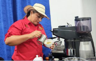 En cuanto al panorama productivo, la proyección de siembra y cosecha 2026-2027 de la Dirección de Agricultura del Ministerio de Desarrollo Agropecuario (MIDA) en la Región 5 de Capira señala una producción estimada de 11,622 quintales de café Robusta. Foto. Eric  Montenegro