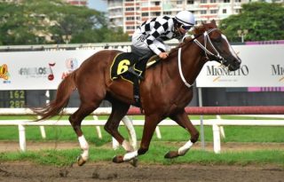  Dandy del Peligro fue superior. Fotos Boris Alberto Valdivieso