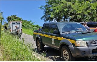 La subcomisionada añadió que, hasta el pasado sábado, las autoridades no tenían reportes oficiales de personas desaparecidas en la región. Foto. Eric Montenegro
