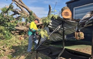 De acuerdo con Melba Montenegro, propietaria del terreno donde se encontraba el árbol, los comerciantes habían salido del lugar apenas unos 15 minutos antes del desplome. Foto. Thays Domínguez