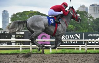 Macho Mule se impuso con autoridad. Foto: Boris Valdivieso.