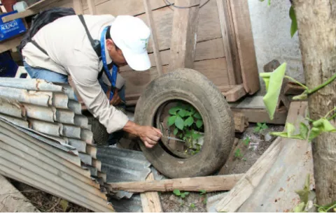 Panameños no toman conciencia sobre riesgo mortal del Zika