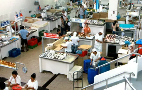 Un año para reacondicionar el Mercado de Mariscos