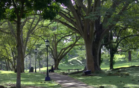 Cierre parcial del Parque Omar por fumigación