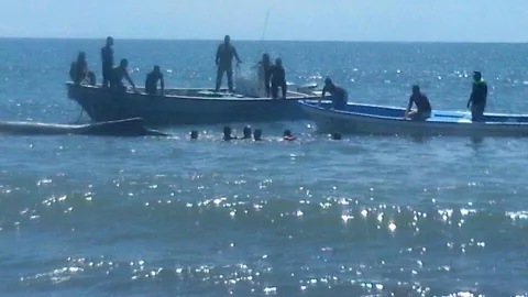 Rescatan ballena varada en playa santeña