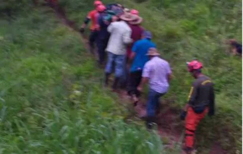 Queda en el hospital con serias fracturas al caerse de un árbol