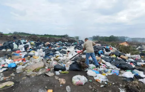 Envenenan a perros en La Tiza de Las Tablas