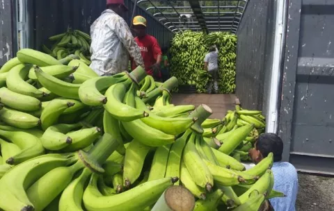 Contrabando y alimentos de alto riesgo preocupan a las autoridades