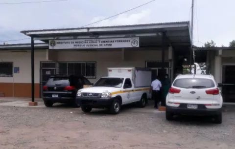 Perro encuentra feto y lo cargaba en el hocico en una finca de Boquete