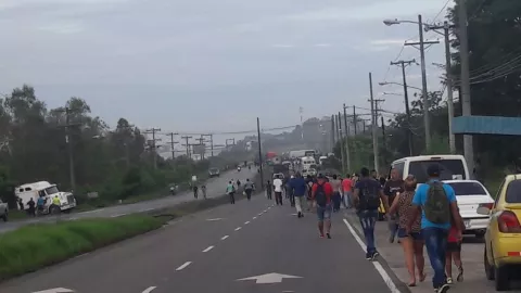 Arroceros de Chepo y Darién temen pérdidas y protestan en Pacora