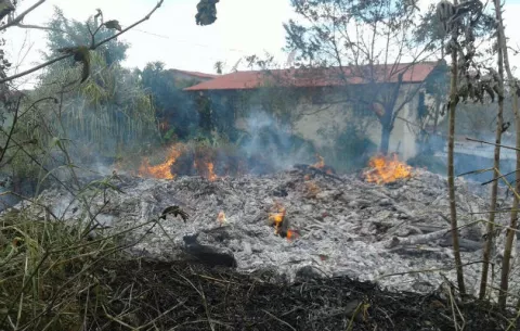 Incendio de masa vegetal deja a 100 familias afectadas en Santiago