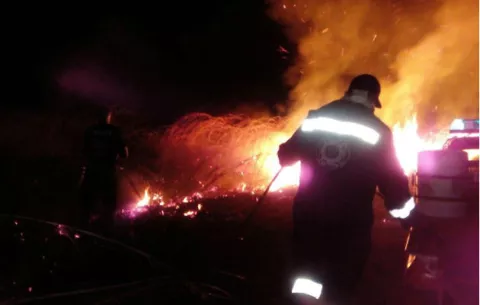 Se queman 50 hectáreas de masa vegetal en horas en Los Santos