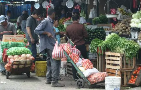 Tomate y lechuga aumentarán de precio en los próximos meses