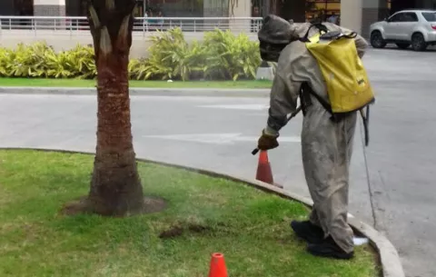 Abejas africanizadas, seria amenaza para los bomberos de Veraguas