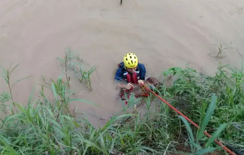 Rescatan bovino atascado en orilla del río La Villa