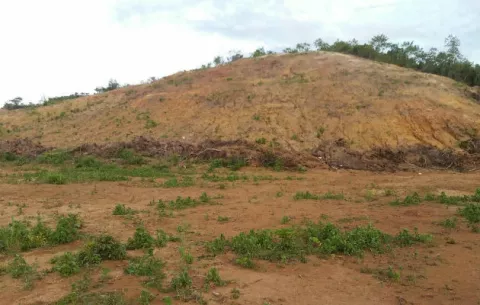Solicitan a MiAmbiente investigar sobre posible delito ambiental