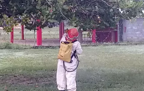 Suspenden clases en escuela de San Bartolo por enjambre de abejas
