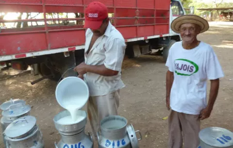 Productores de leche están preocupados por disminución en sus ventas