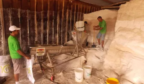 Cae la producción de azúcar y sal en Panamá