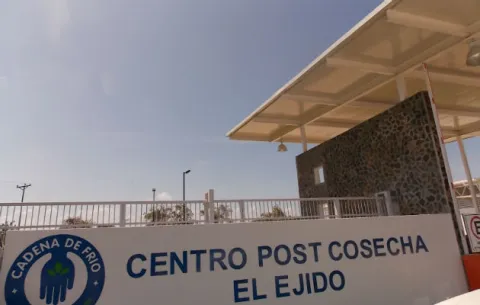 Encapuchados amarran a seguridad y roban en Centro Post Cosecha