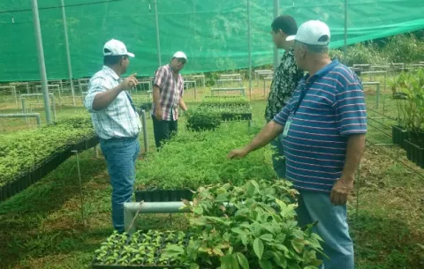 Prosigue proyecto de reforestación de cuenca del río La Villa
