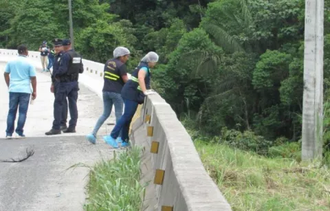 Arrojaron la cabeza y otros restos en zona boscosa de la vía Centenario