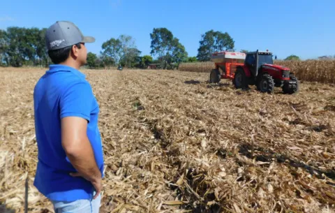 Productores santeños fijan el precio del maíz