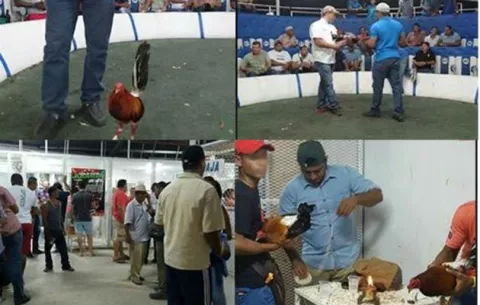 Juez niega revocar medida cautelar en caso 'El Gallero'