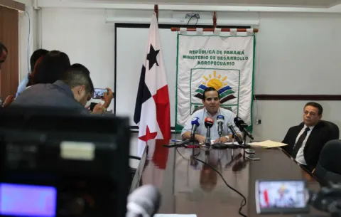 Ministro Eduardo Carles niega compra de arroz desmejorado a Guyana