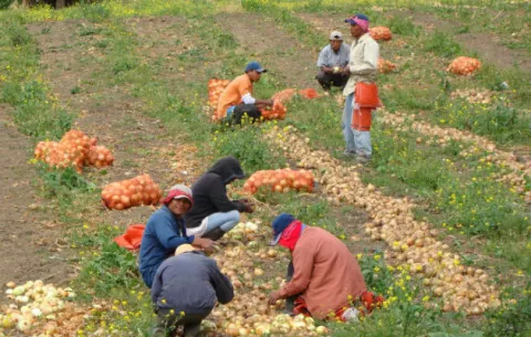 Productores exigen que la Aupsa sea eliminada