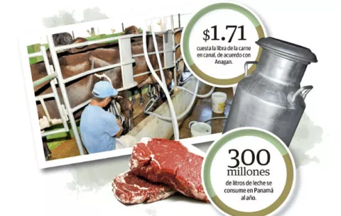 Ganaderos no perciben beneficios de exportación a China