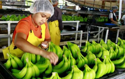 MICI busca equilibrio entre mitigación de contagio y reactivación económica del país