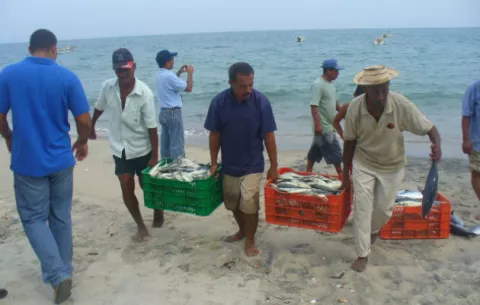 Asamblea  aprobó en tercer debate  proyecto de ley de Pesca