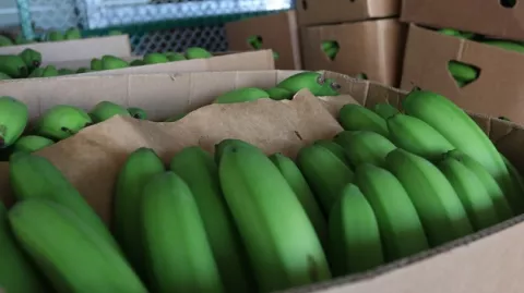 Agroexportaciones crecen 2% en medio de la pandemia