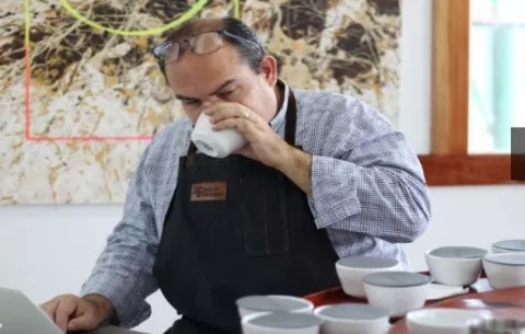 Jueces nacionales eligen el mejor café de Panamá en la subasta virtual 'Best of Panama'