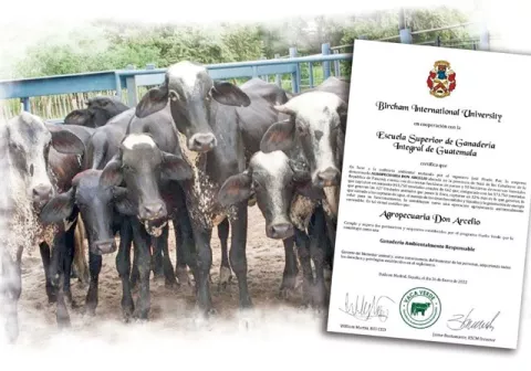 Agropecuaria Don Arcelio: una empresa netamente natariega, con el sello de la ganadería responsable