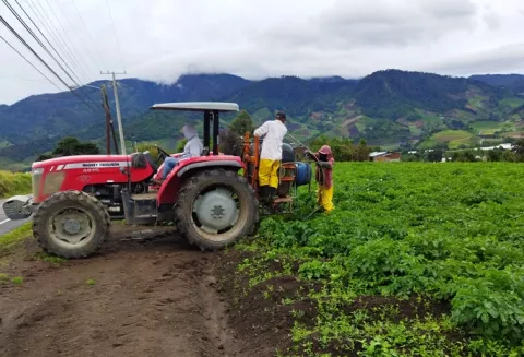 Productores advierten que se perderán 10,000 plazas de trabajo en Tierras Altas por cierres