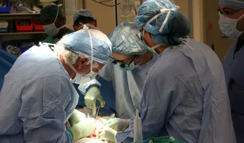 Redoblan esfuerzo para captar donantes de órganos, tras afectaciones por la pandemia