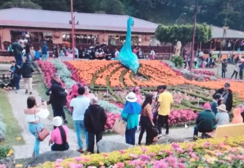 Hurtan celular a tipiquero panameño en la Feria de Boquete