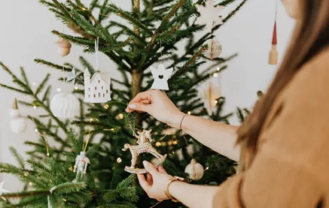 Transforma tu arbolito de Navidad en abono